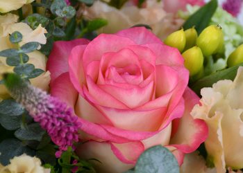 Create Lasting Memories with Moyses Stevens’ Elegant Bouquets