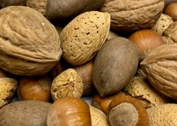 Anuts Nuts For Parrots & Macaws – The Ultimate Crunch for Happy Birds!