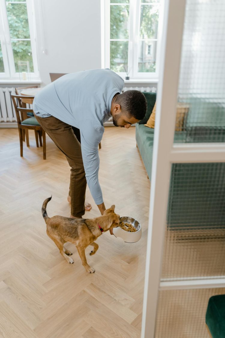 Upgrade Your Dog’s Diet: The Power of Raw, Natural Nutrition