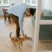 Upgrade Your Dog’s Diet: The Power of Raw, Natural Nutrition