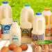 McQueens Dairies – Revolutionising Traditional Milk Delivery With Nationwide Reach and Fresh, Sustainable Choices