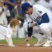 Join the Action at Citi Field: 2025 Mets Games and Must-Have Giveaways