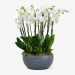 Moyses Flowers Offering Exquisite Floral Creations That Bring Elegance Beauty and Freshness to Every Special Occasion