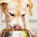 Fera Pet Organics: Innowacyjne, naukowo opracowane suplementy dla zdrowia zwierząt