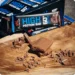 Heerlijke en voedzame energie: De beste repen en snacks bij XXL Nutrition