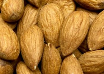 Anuts Almonds – Premium Quality, Nutritious, and Delicious Almonds for Every Taste