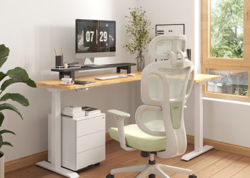 Revolutionizing Comfort and Productivity with FlexiSpot Ergonomic Chairs