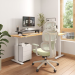 Revolutionizing Comfort and Productivity with FlexiSpot Ergonomic Chairs