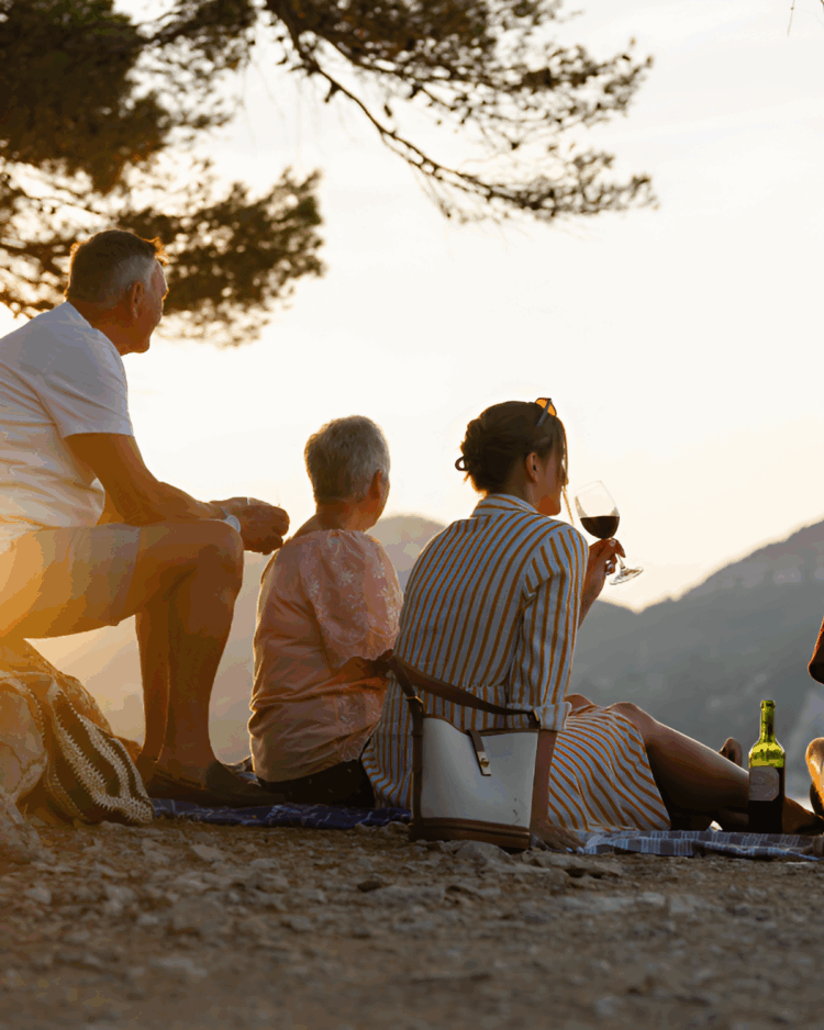 Explore the Finest Red Wines for Every Occasion and Taste