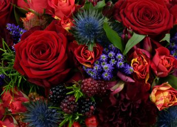 Elevate Every Occasion with Signature Bouquets by MOYSES STEVENS