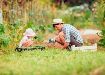 Découvrez les joies du jardinage : Découvrez l’abonnement de Rustica