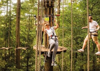 Go Ape Provides an Exciting Outdoor Adventure for Everyone with Zip Lines and Treetop Courses