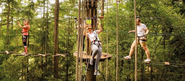 Go Ape Provides an Exciting Outdoor Adventure for Everyone with Zip Lines and Treetop Courses