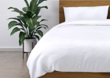 Panda Bamboo Bedding & Mattresses: The Eco-Luxury Everyone’s Talking About