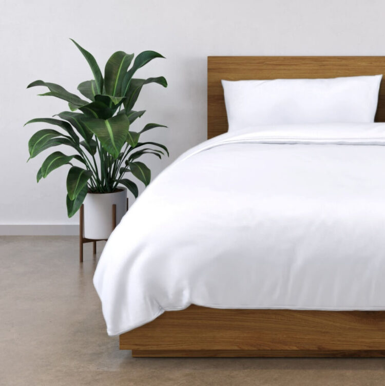 Panda Bamboo Bedding & Mattresses: The Eco-Luxury Everyone’s Talking About