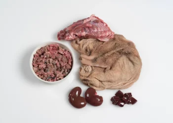 Top Raw Dog Food Products from Paleo Ridge: Premium Nutrition for Your Canine Companion
