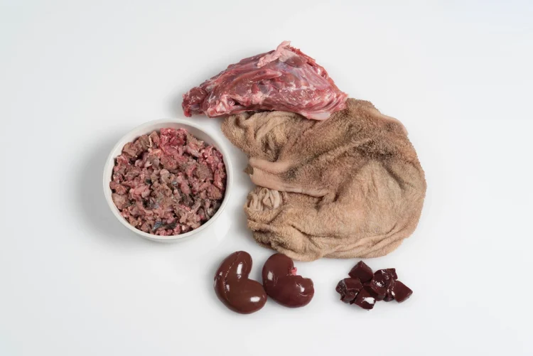 Top Raw Dog Food Products from Paleo Ridge: Premium Nutrition for Your Canine Companion