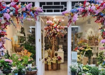 Experience Timeless Elegance with Moyses Stevens Floral Creations