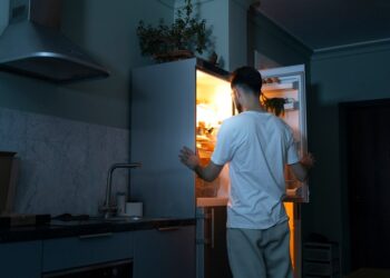 Rüsten Sie Ihren Gefrierschrank noch heute auf: Teile für mehr Ordnung und Leistung