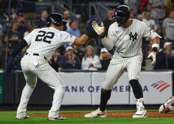 Experience the New York Yankees Live Like Never Before