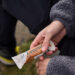 Myprotein Protein Bars: The Ultimate Combination of Flavor and Protein