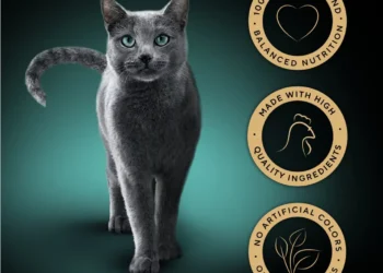 Exploring the Best Wet and Dry Cat Food Choices to Keep Your Cat Happy and Nourished