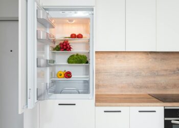 Discover the Best Features of Modern Fridge Freezers: Keep Your Food Fresh and Organised