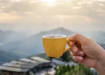 Discover the Cleanest Coffee for a Healthier Daily Brew Routine