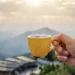 Discover the Cleanest Coffee for a Healthier Daily Brew Routine