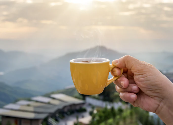 Discover the Cleanest Coffee for a Healthier Daily Brew Routine