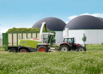 Green Gas from Grass: A Game-Changer in Renewable Energy Production
