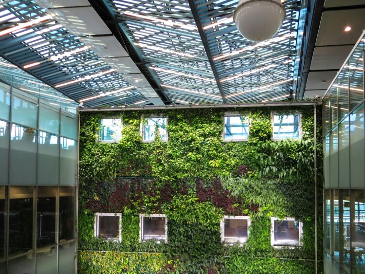 Transform Any Space with Realistic, Maintenance-Free Green Walls