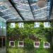 Transform Any Space with Realistic, Maintenance-Free Green Walls