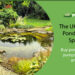 Pondkeeper – A Trusted Hub for Pond Supplies, Equipment, and Expert Care