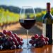 Pouring Perfection: Explore the Best Wines at Warehouse Wines