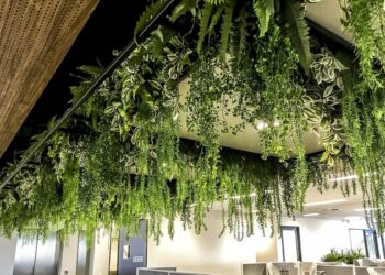 Transform Your Home or Office with Lifelike Hanging Plants from Designer Vertical Gardens