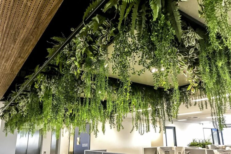 Transform Your Home or Office with Lifelike Hanging Plants from Designer Vertical Gardens
