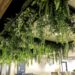 Transform Your Home or Office with Lifelike Hanging Plants from Designer Vertical Gardens