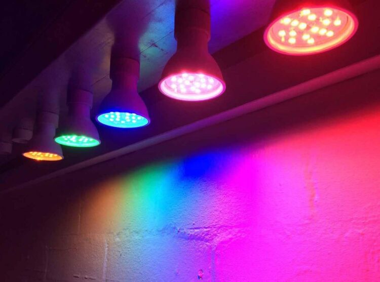 Brighten Your World with BLT Direct’s Coloured LED Lighting