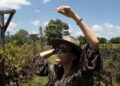 Descubre gafas de sol que protegen la vista y realzan tu estilo personal