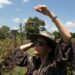 Descubre gafas de sol que protegen la vista y realzan tu estilo personal