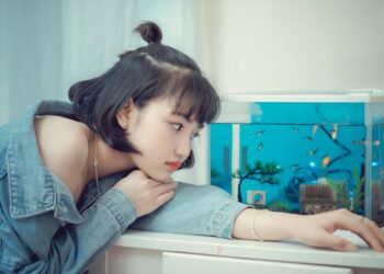 Enhance Your Living Space with Compact and Stylish Aquarium Solutions