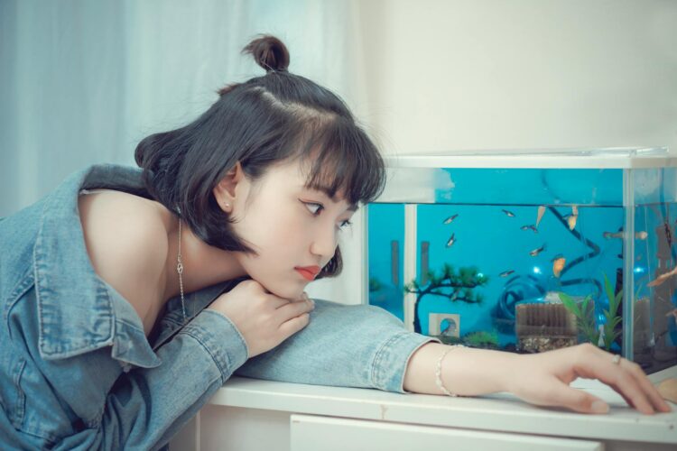 Enhance Your Living Space with Compact and Stylish Aquarium Solutions