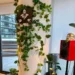 Hassle-Free Home: Top 5 Artificial Hanging Plants for Stunning Decor