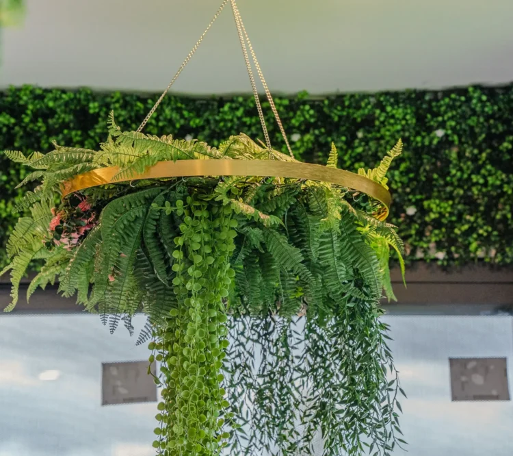 Greenery That Hangs With Style: Modern Hanging Plants by Designer Vertical Gardens
