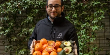 Frische Blutorangen und Avocados, direkt aus europäischen Obstgärten geliefert