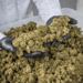 Lucky Hemp: Entdecken Sie hochwertige CBD-Blüten, Öko-Packungen und exklusive Bundles für natürliches Wohlbefinden