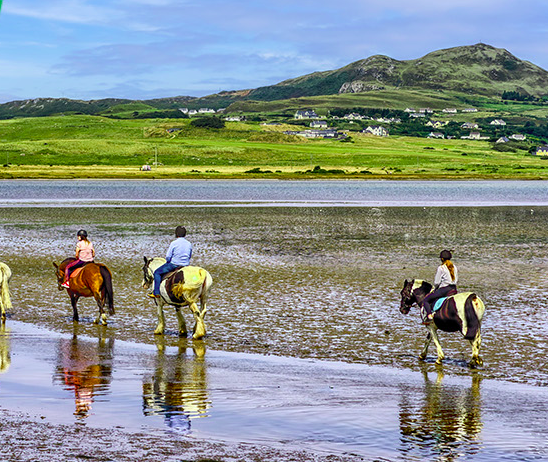 Turn Every Journey into an Experience Across the Sea with Irish Ferries