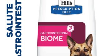 Le migliori diete terapeutiche per la salute a lungo termine del tuo cane