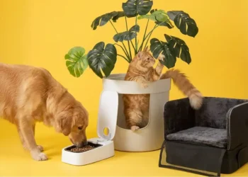 ARCAPLANET: snack deliziosi e salutari per ogni cane